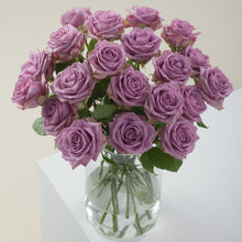 Purple Attraction Long Stem Roses