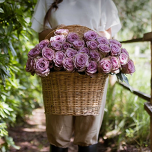 Farmer's Choice Roses