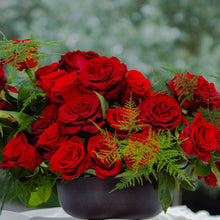 Red Romantic Long Stem Roses