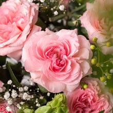 Pink Passion Long Stem Roses
