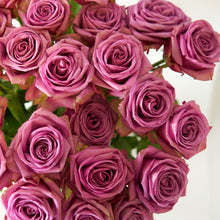 close up of Purple Attraction Long Stem Roses have a hint of lavender in the center