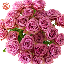 Close up bouquet of Purple Attraction Long Stem Roses have a hint of lavender in the center