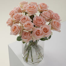 Cozy Peach Long Stem Roses
