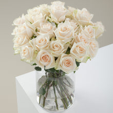 Cream Dazzler Long Stem Roses
