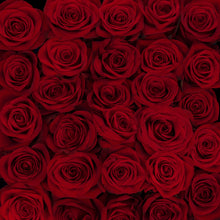 Red Romantic Long Stem Roses
