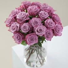Magenta & Lavender Bi-Color Stunner Long Stem Roses
