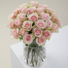 Pink Bi-Color Eyecatcher Long Stem Roses
