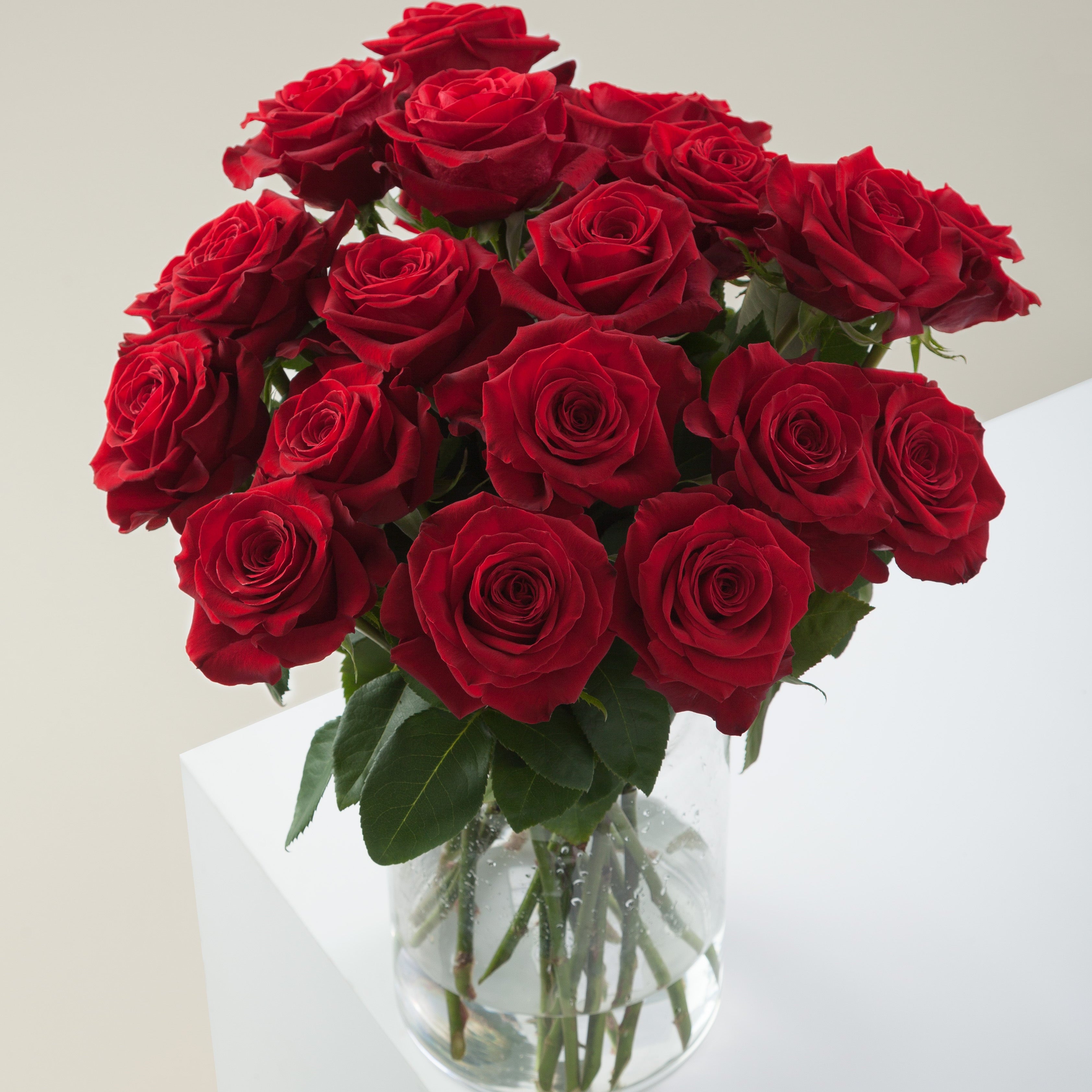 Rose Farmers | Farm Fresh Roses | Buy Quality Roses Direct