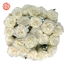 Moments of Comfort Bouquet