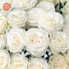 Moments of Comfort Bouquet