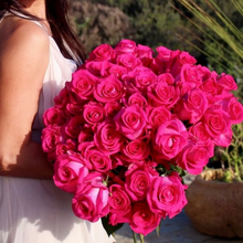 Hot Pink/Magenta Long Stem Roses
