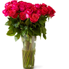 hot pink roses in a glass vase 
