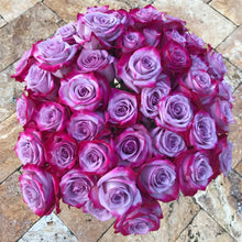 Close up bouquet of Magenta and Lavender Bi-Colored roses

