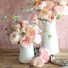 2 white vases on a table full of Keira roses - Frilly wedding-dress petals frame her cupped blooms in every shade of soft pink, from raspberry ripple to clotted cream. 
