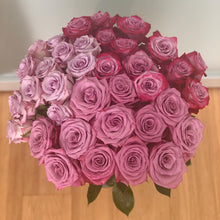 Close up bouquet of Magenta and Lavender Bi-Colored roses
