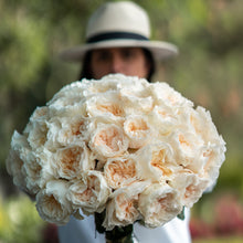 White Pure Long Stem Roses
