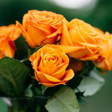 Orange Citrus Long Stem Roses
