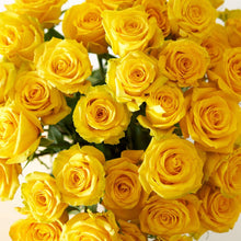 up close bright yellow long stem roses with golden sun like quality 
